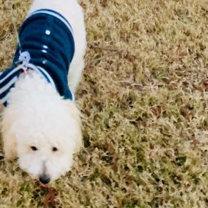 Meet your Posher, Nathan